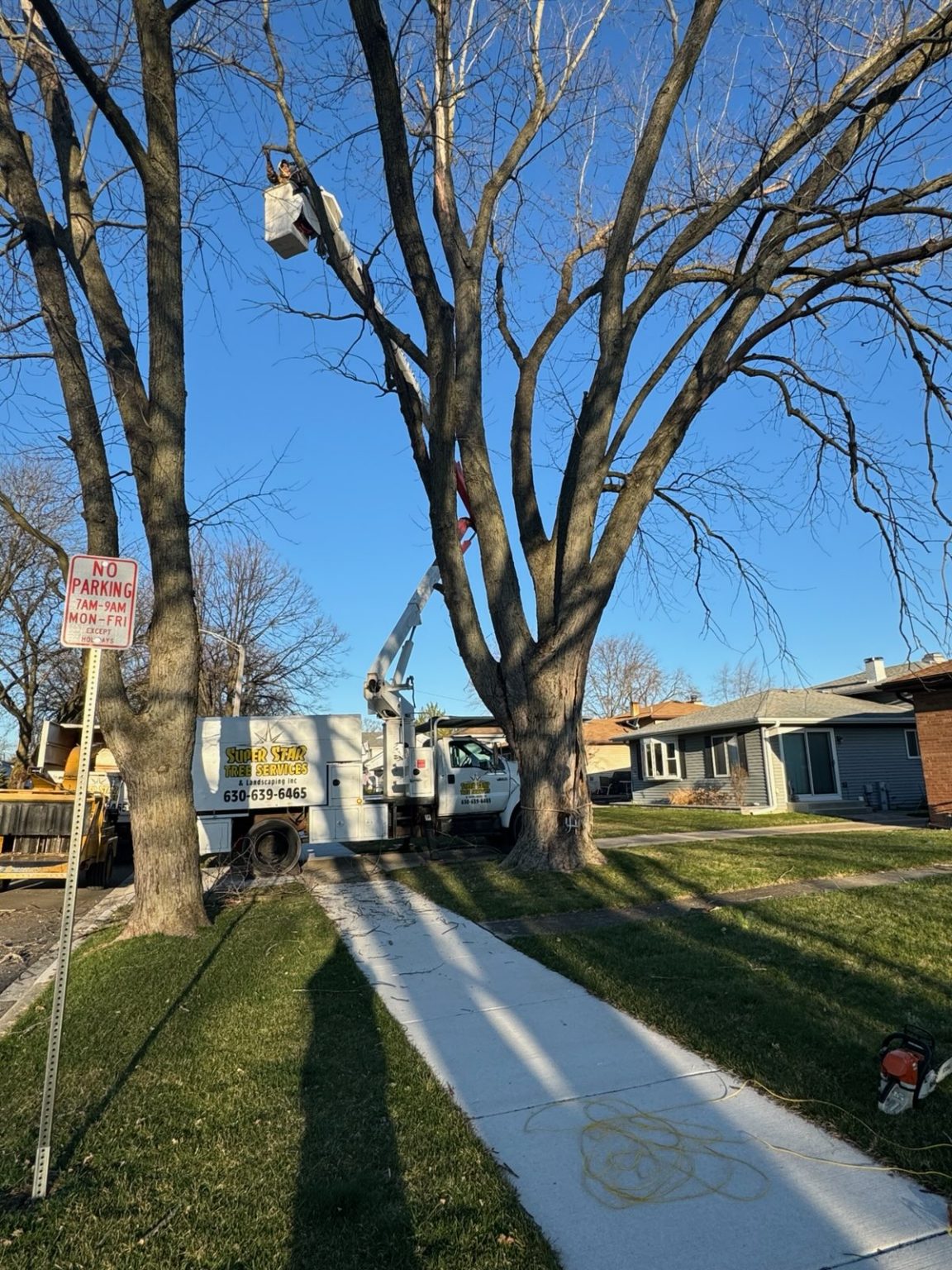 Super Star Tree Service Inc Client Provided (1)
