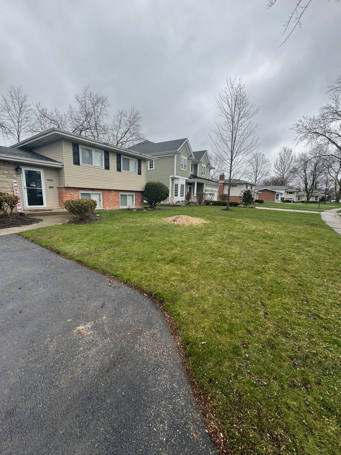 Super Star Tree Service Inc Client Provided (1)