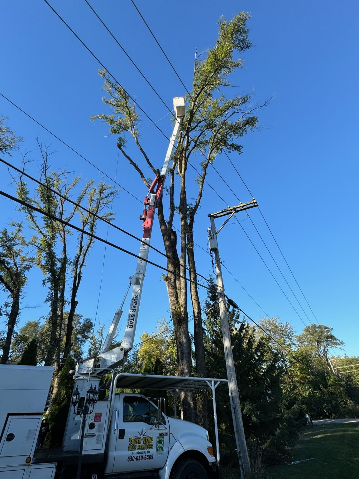 Super Star Tree Service Inc Client Provided