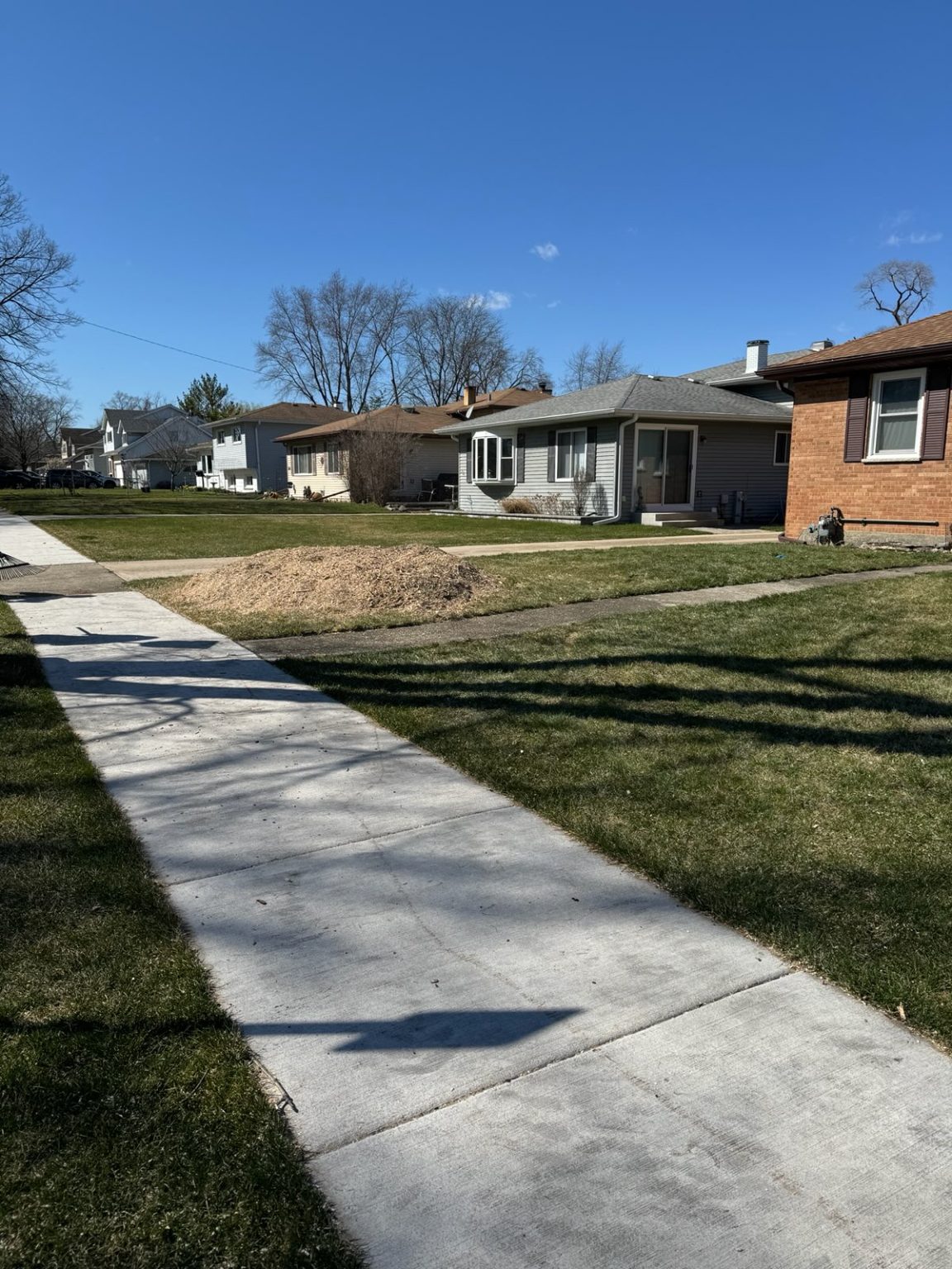 Super Star Tree Service Inc Client Provided (2)