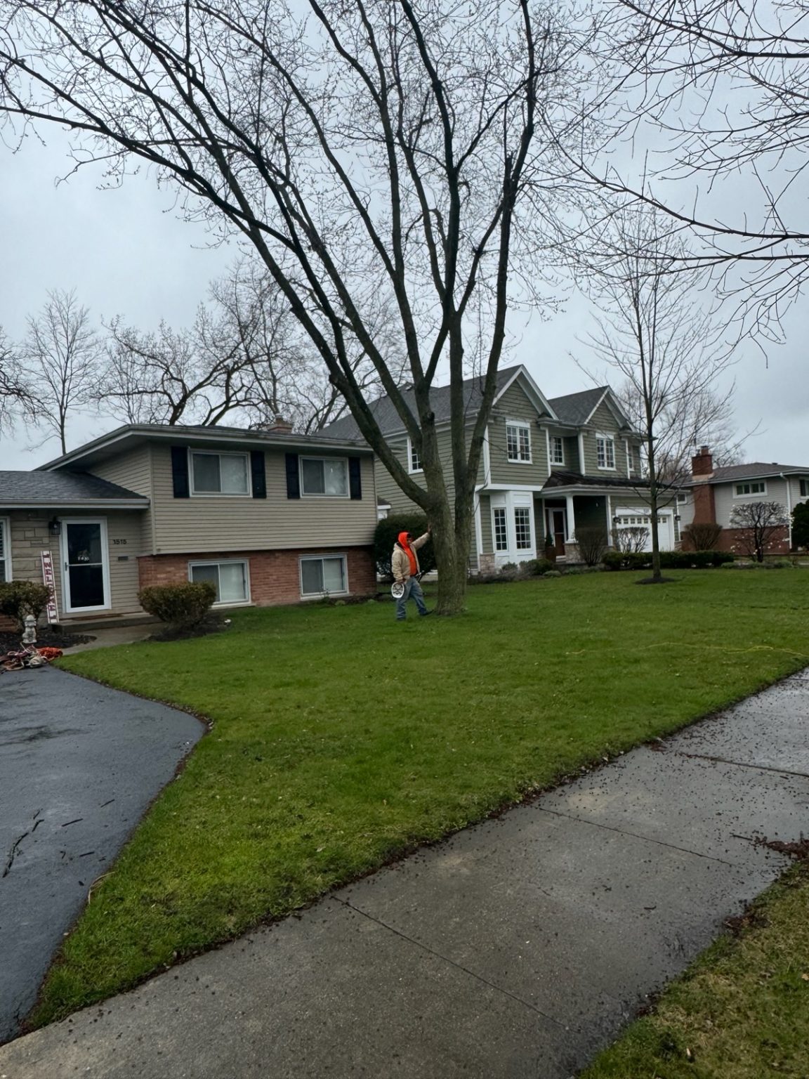 Super Star Tree Service Inc Client Provided (2)