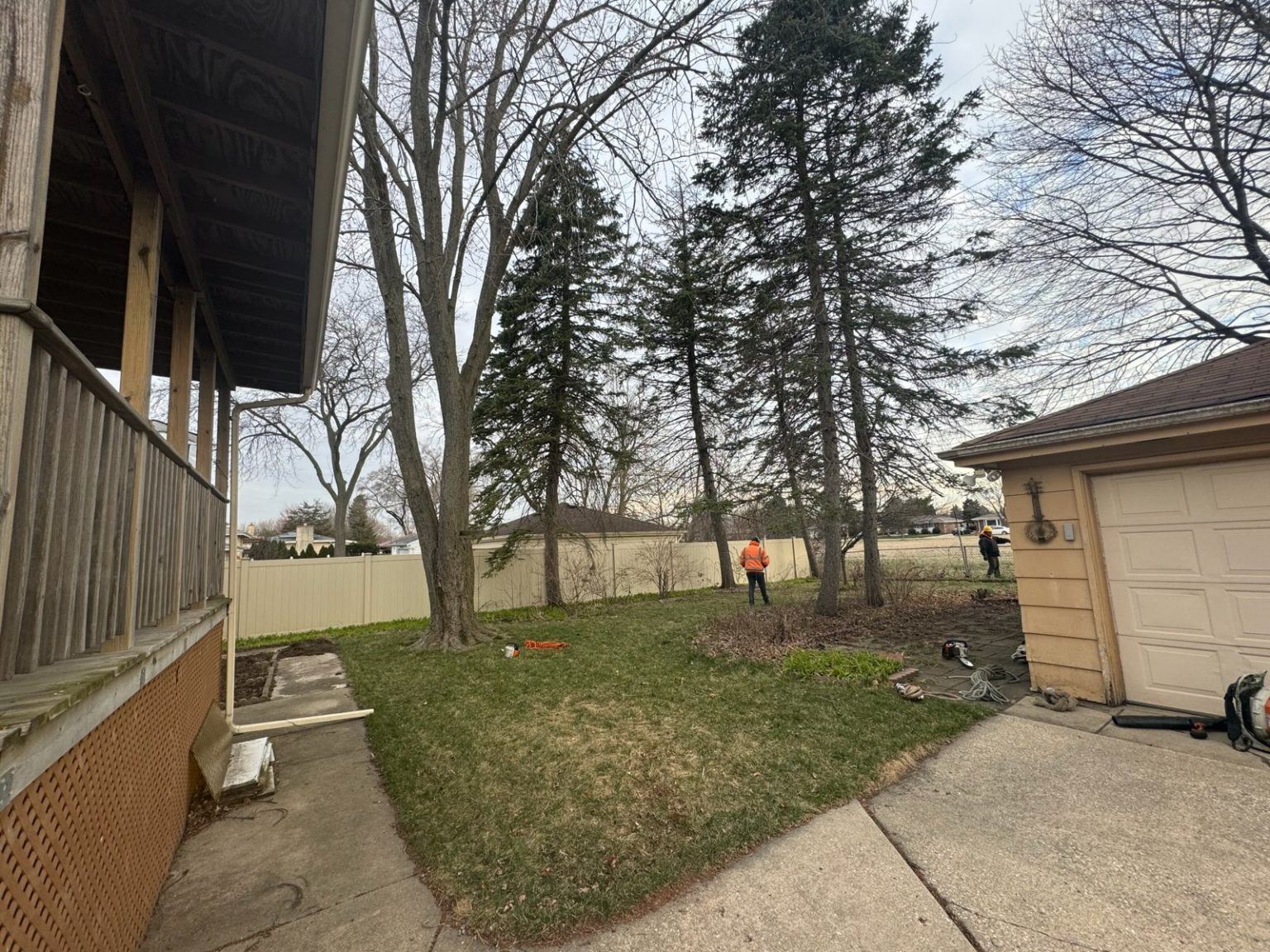 Super Star Tree Service Inc Client Provided (3)