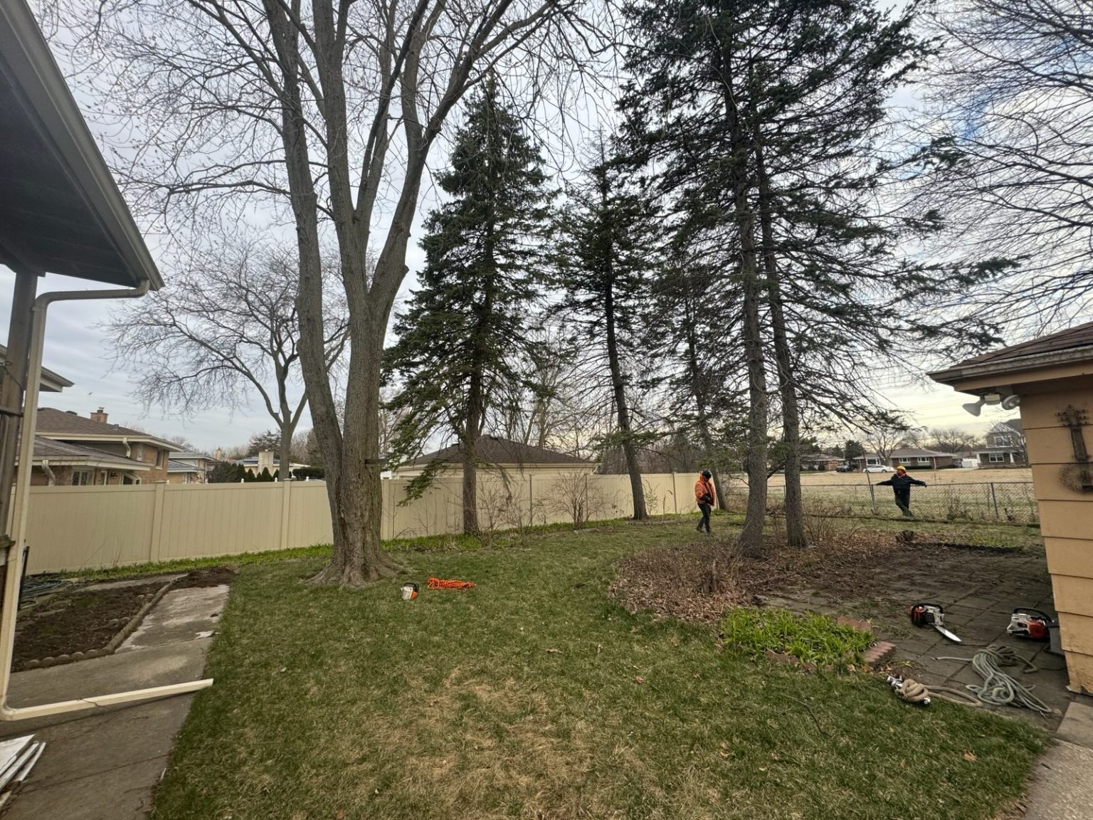 Super Star Tree Service Inc Client Provided (4)