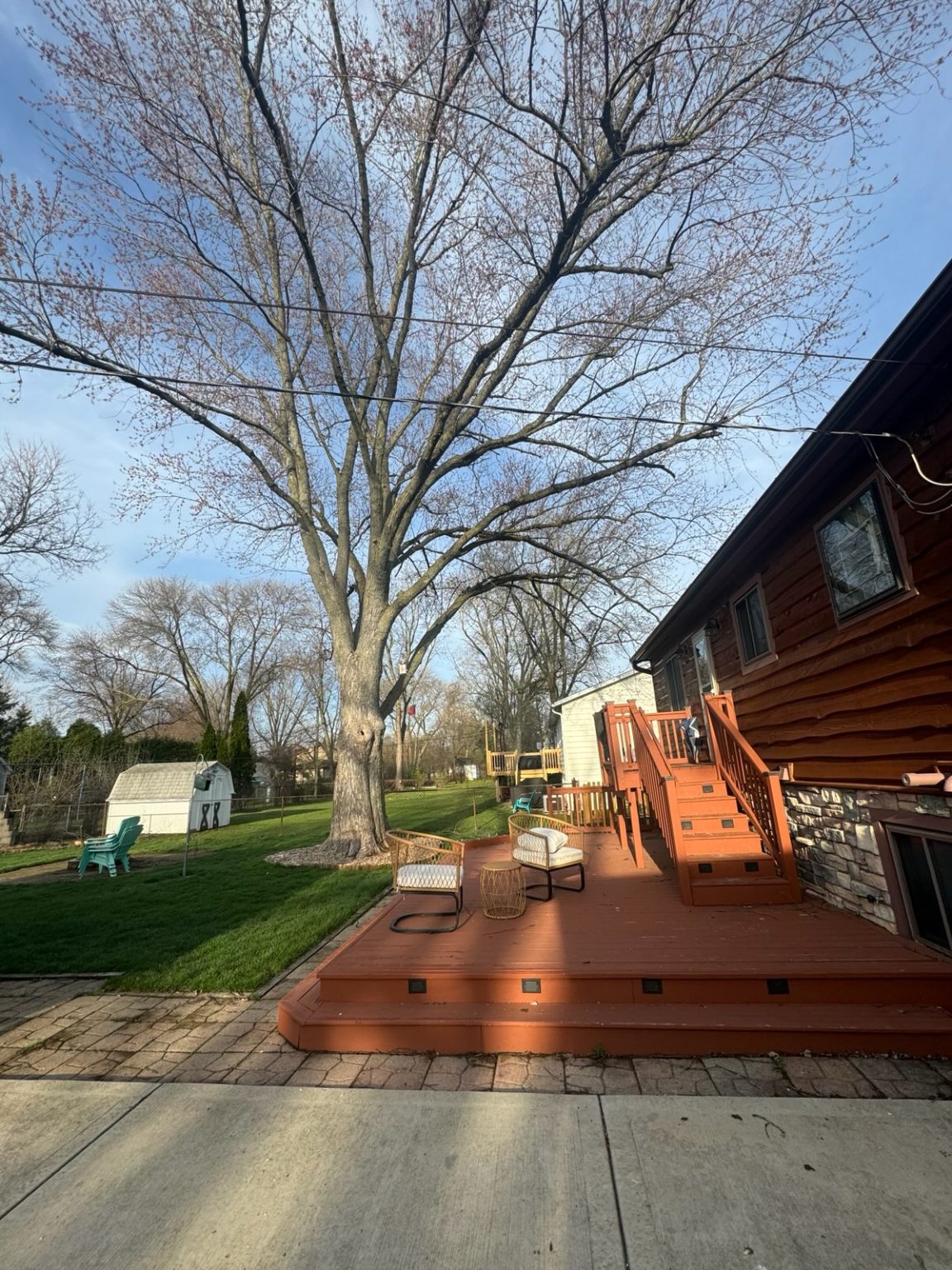 Super Star Tree Service Inc Client Provided 4