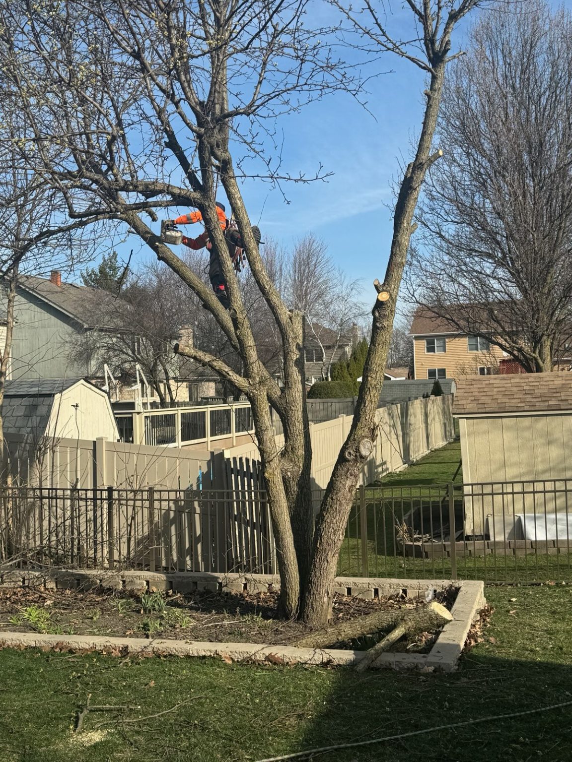 Super Star Tree Service Inc Client Provided