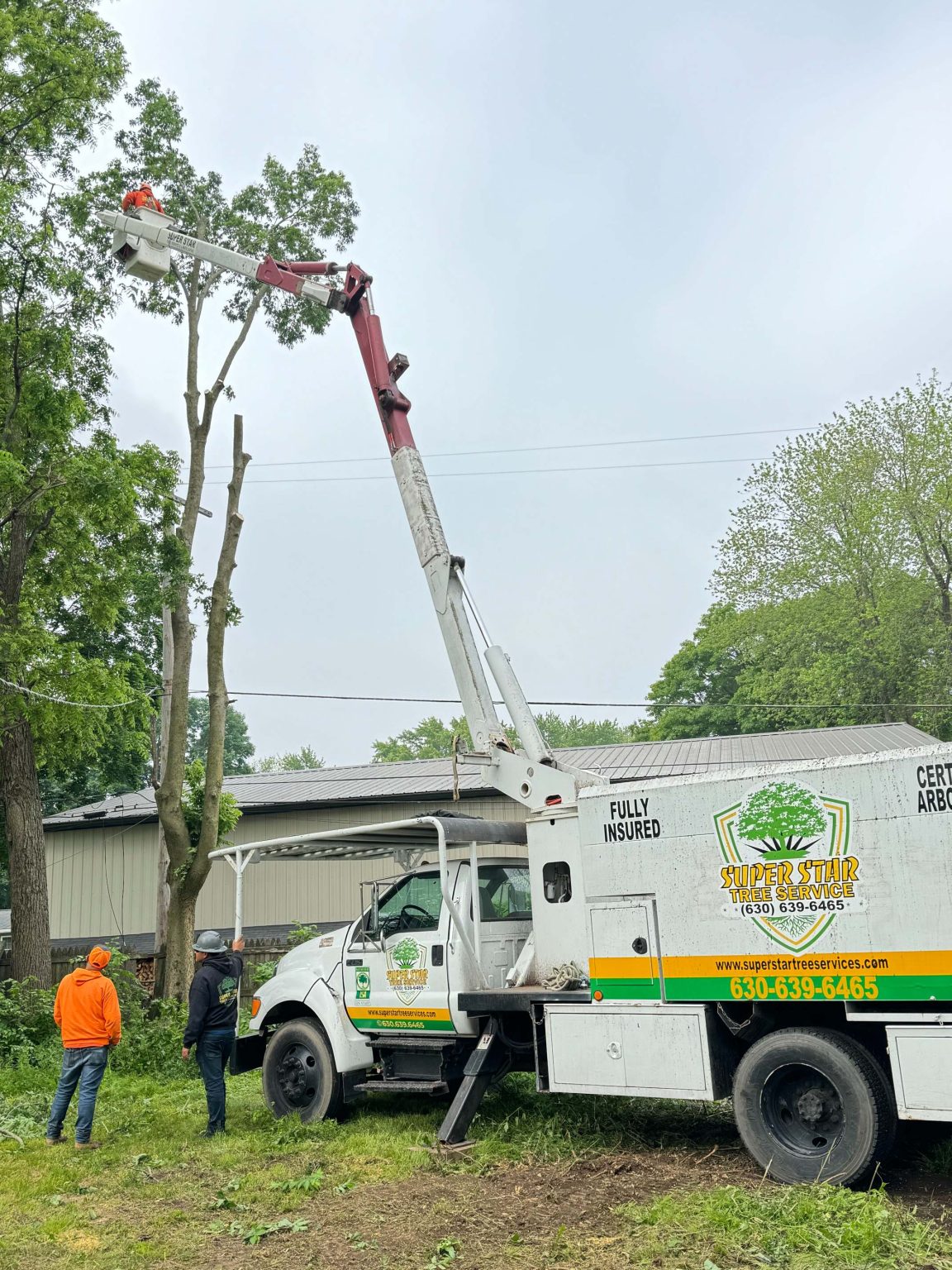Superstar Tree Service U1023791 Client Provided (1)