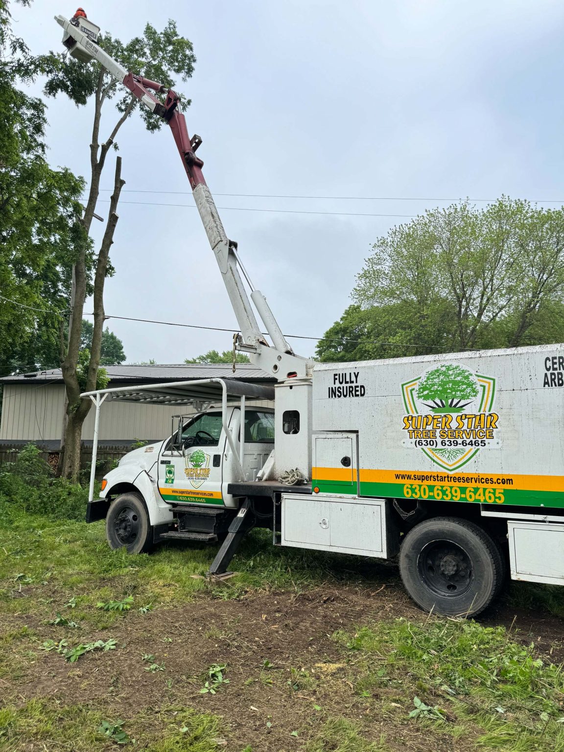 Superstar Tree Service U1023791 Client Provided (2)