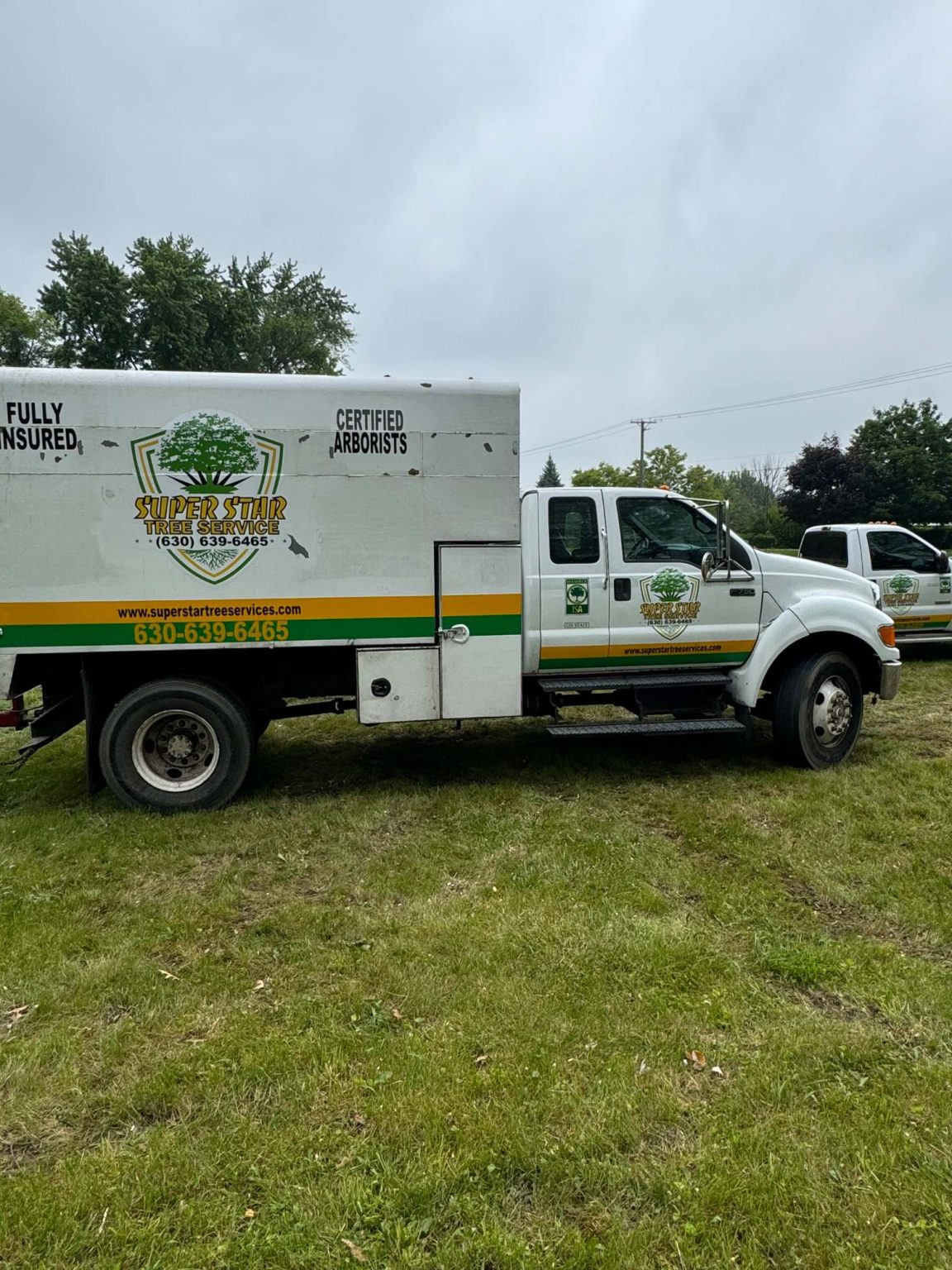 Superstar Tree Service U1023791 Client Provided (4)