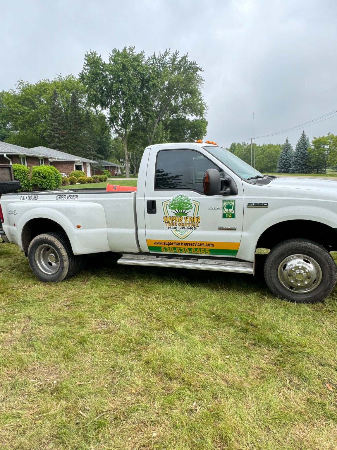 Superstar Tree Service U1023791 Client Provided (5)
