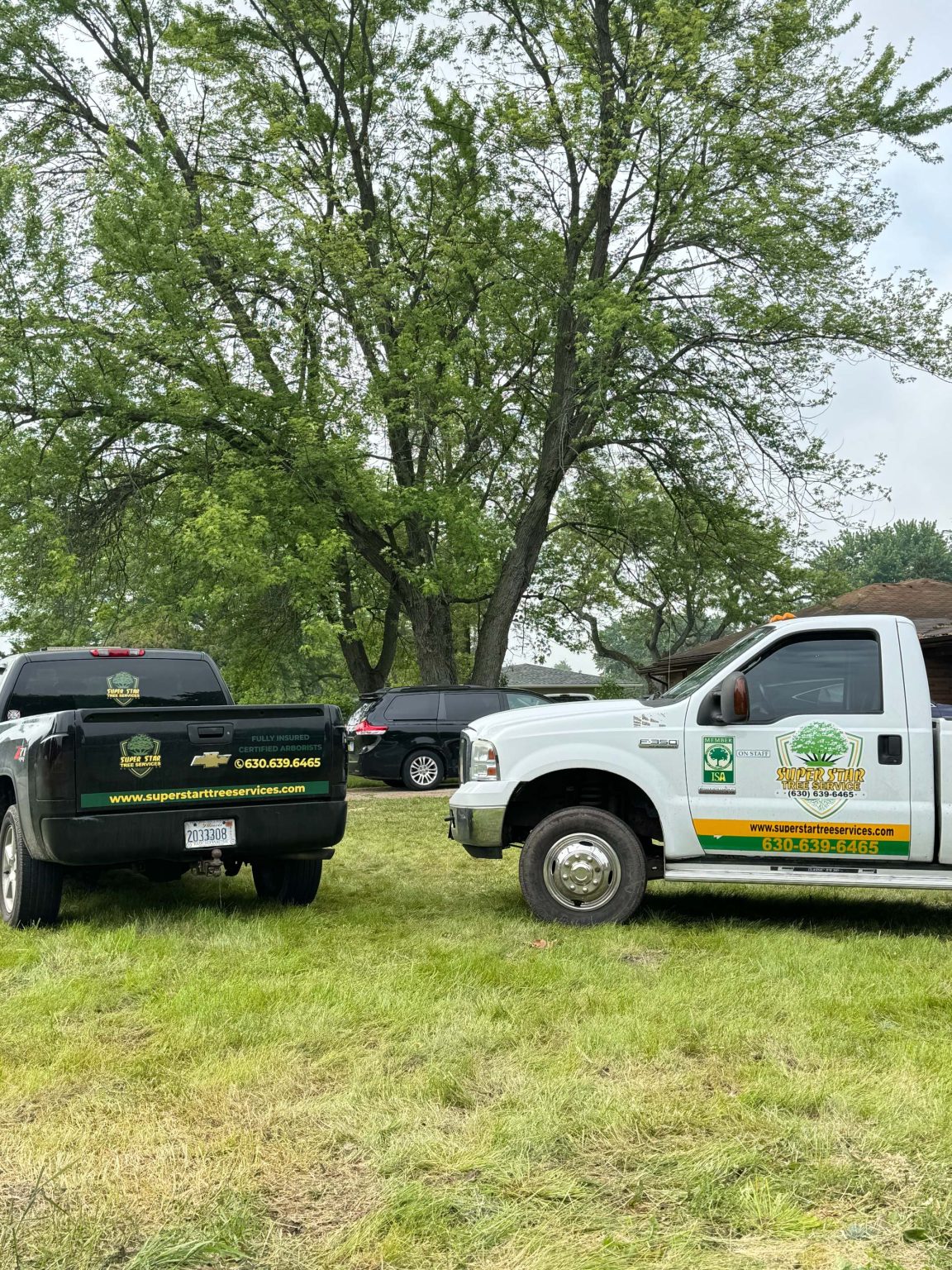 Superstar Tree Service U1023791 Client Provided (6)